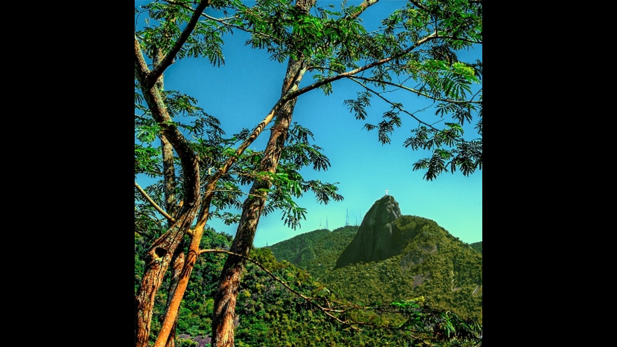 Carlos Henrique Brasil   @chbrasil (6f)